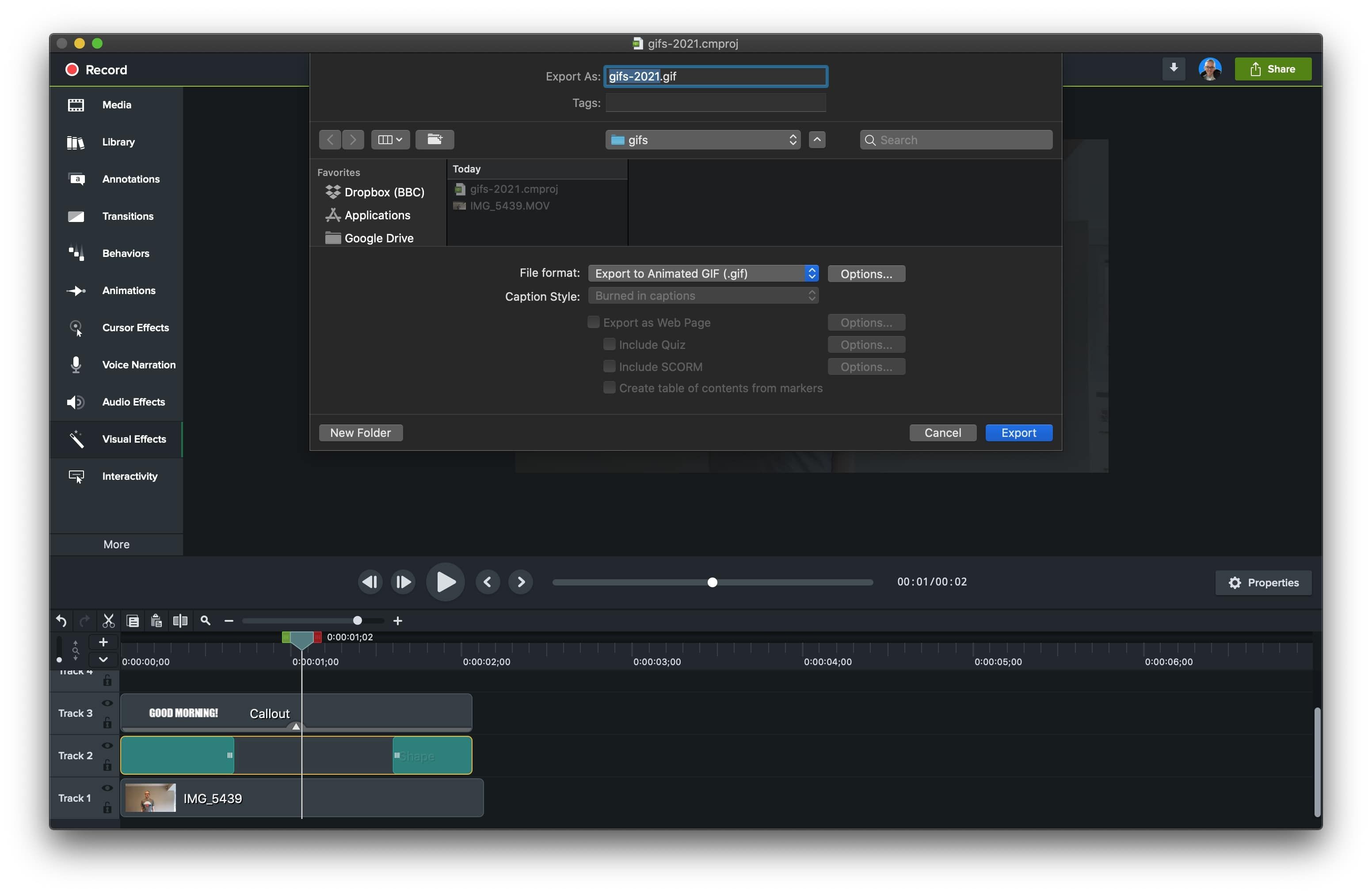 Camtasia export